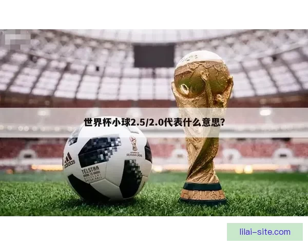 世界杯体育竞猜盘口分析与技巧攻略助你精准预测赛事结果